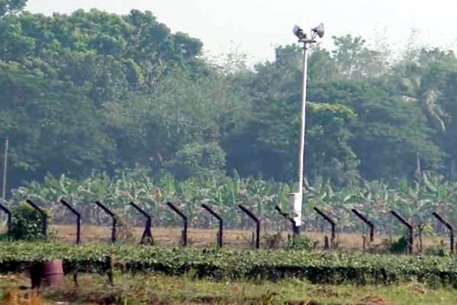 সীমান্তে ‘সংঘবদ্ধ পিটুনিতে’ বাংলাদেশি নিহত