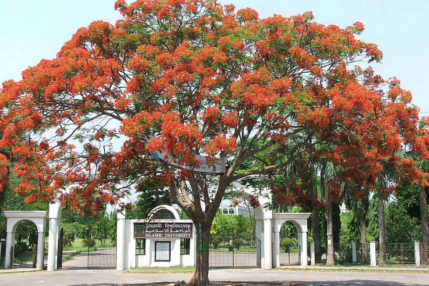 শিক্ষক-নিচ্ছে-ইসলামী-বিশ্ববিদ্যালয়