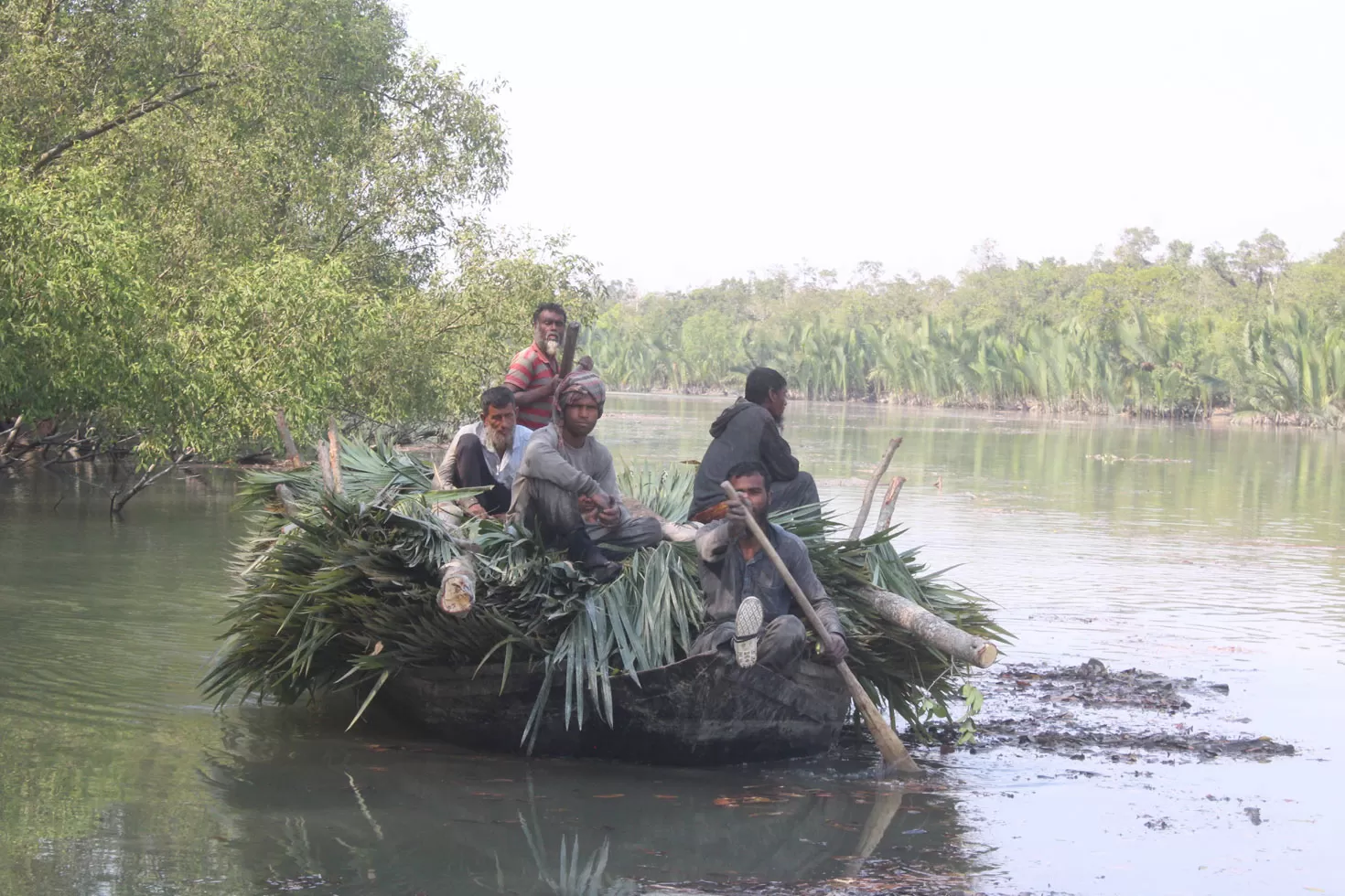 জীবিকার কারণে বনের ক্ষতি, বিকল্প কী? 