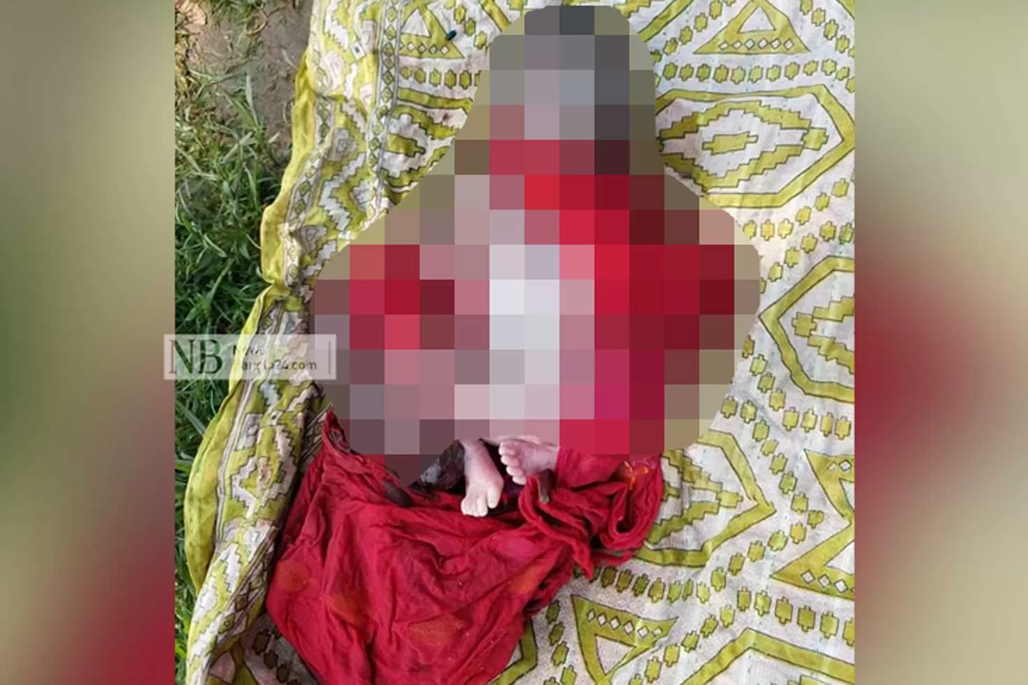 লাল-ওড়নায়-মোড়ানো-ছিল-ছোট্ট-নিথর-দেহটি