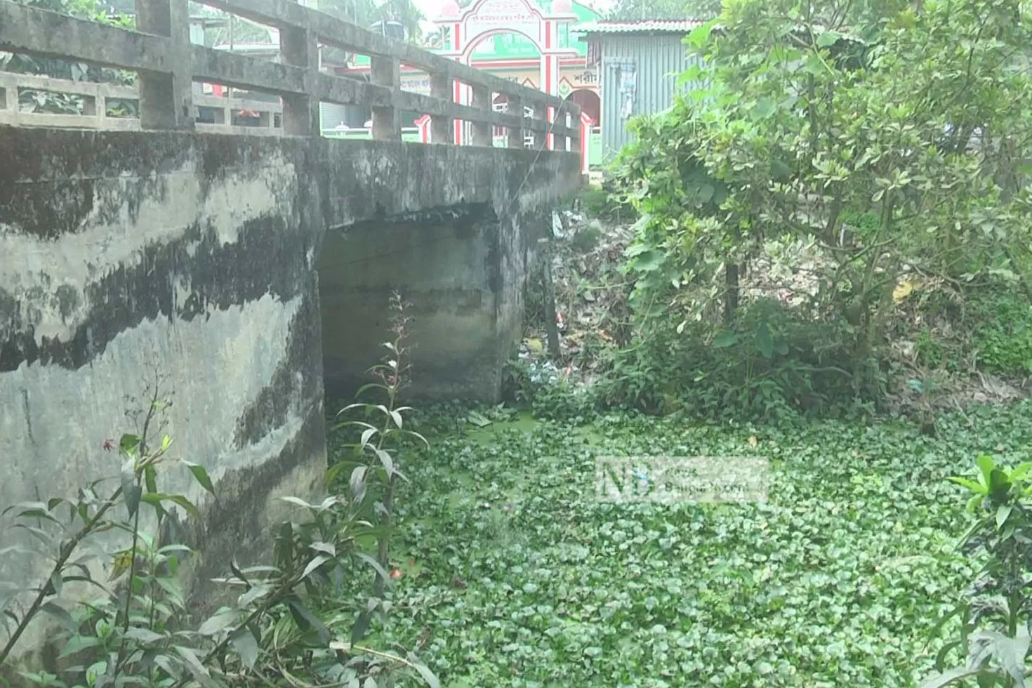 কৃষকের-দুঃখ-লাখোটিয়া-খাল