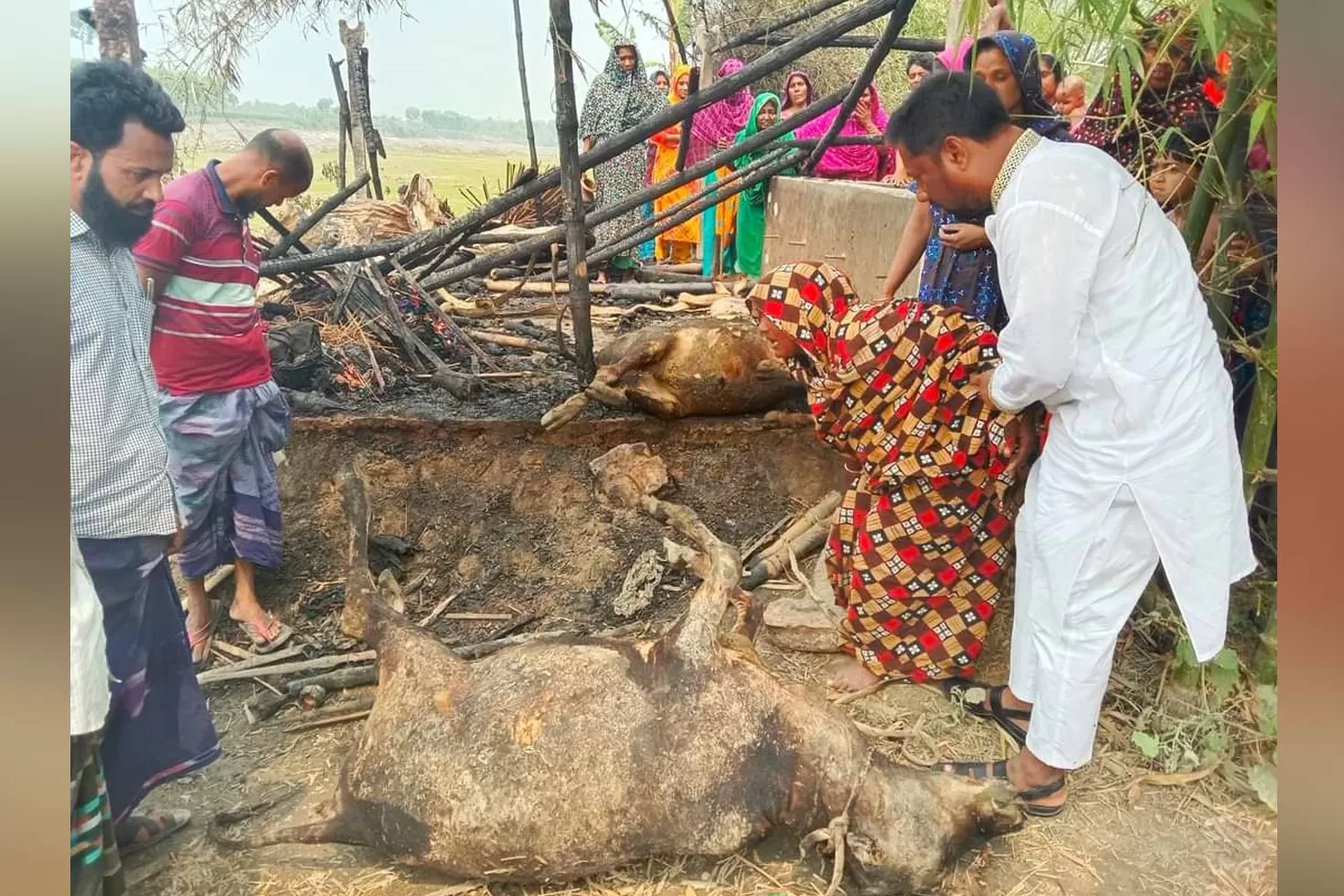 কয়েলে পুড়ল বিধবার স্বপ্ন