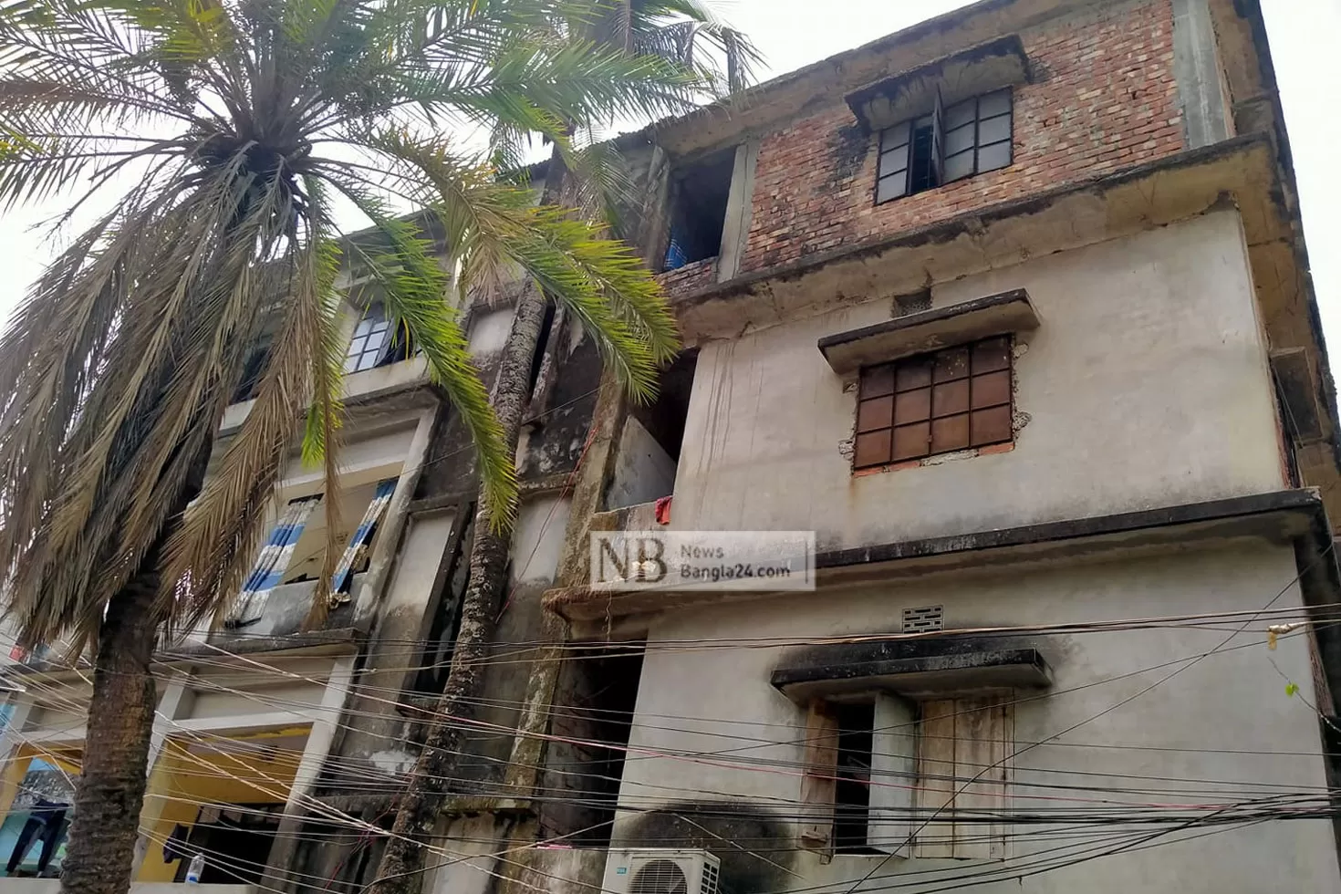 টিসিবির-কার্ড-পেলেন-চার-তলার-মালিক-সরকারি-চাকুরে