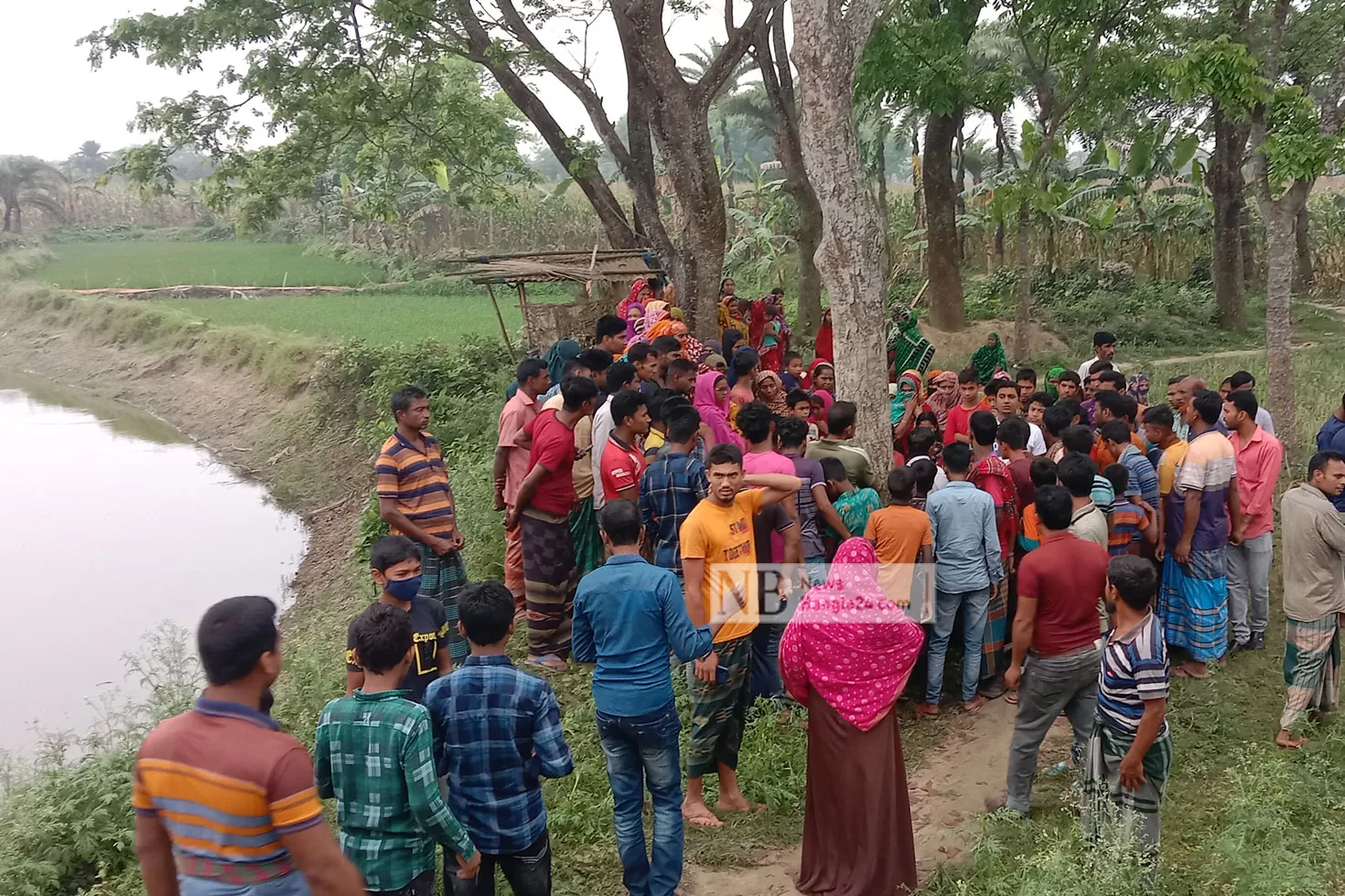 গ্রামীণ সড়কের পাশে তরুণীর মরদেহ