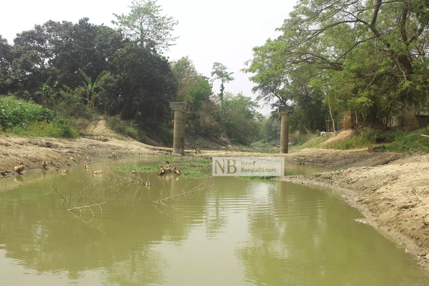সেতুর পিলার 