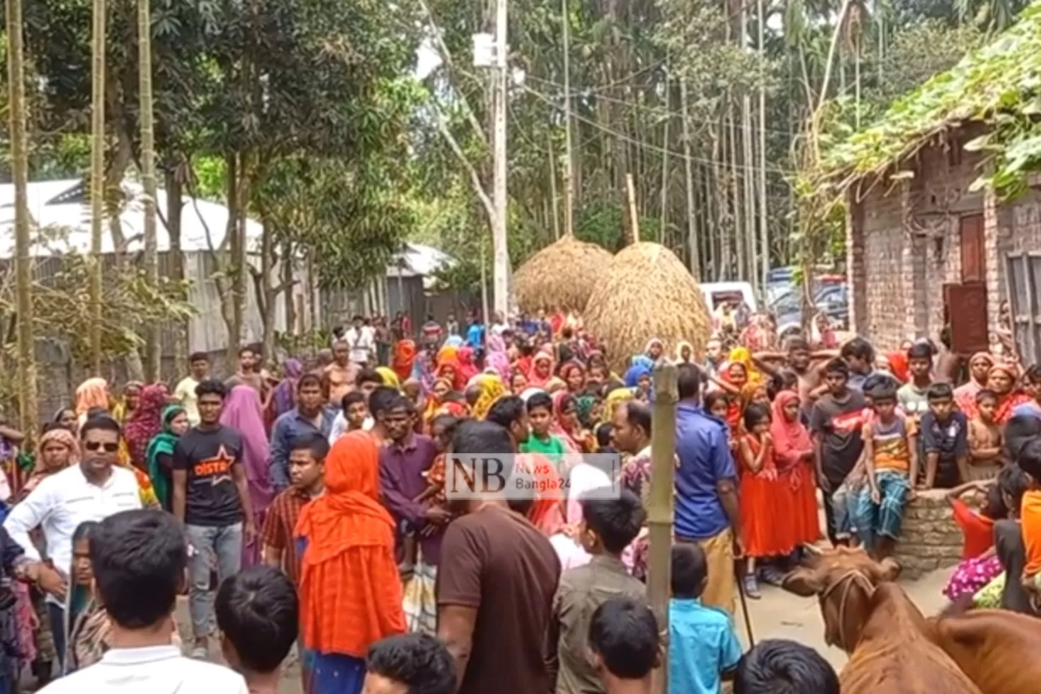 পিটিয়ে হত্যার অভিযোগে স্বামী-ছেলে আটক