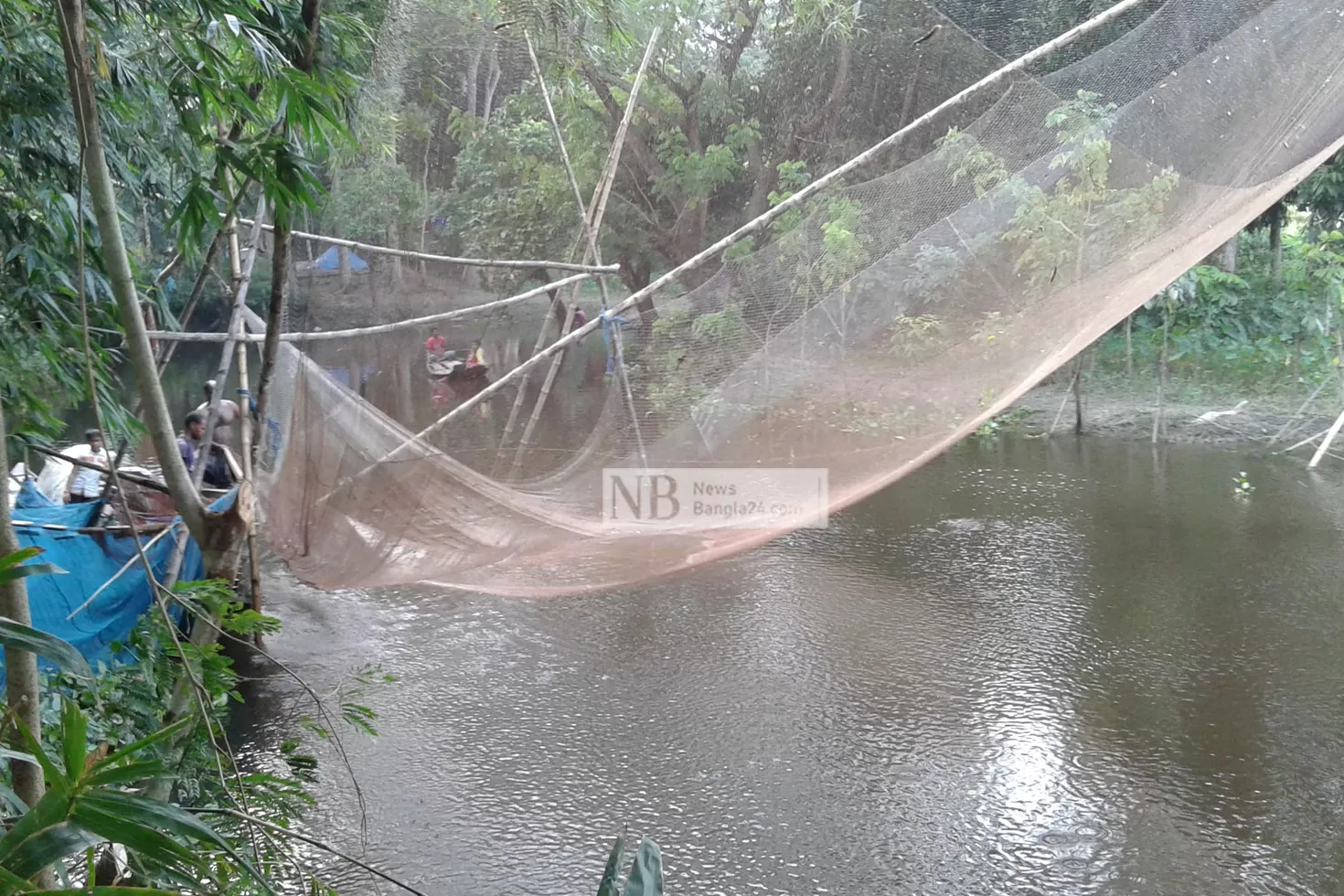হারিয়ে যাচ্ছে ভেসাল জাল