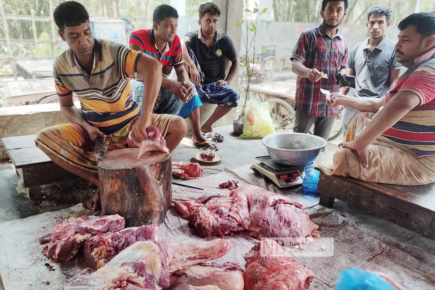 গরুর মাংসের রেকর্ড