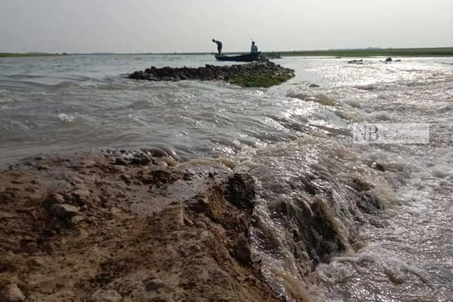 বাঘার হাওরে তলিয়েছে ৮ হেক্টর জমির ধান