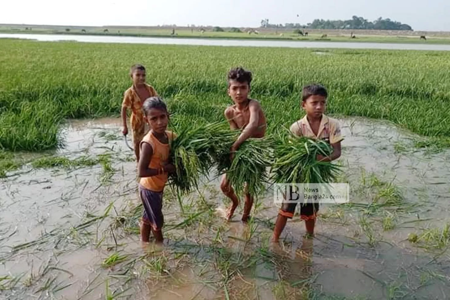 বাঁধ রক্ষায় জনগণকে তদারকির অনুরোধ ডিসির