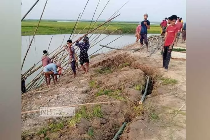 কীর্তনখোলা বাঁধে ফাটল, ব্যাপক ফসলহানির শঙ্কা