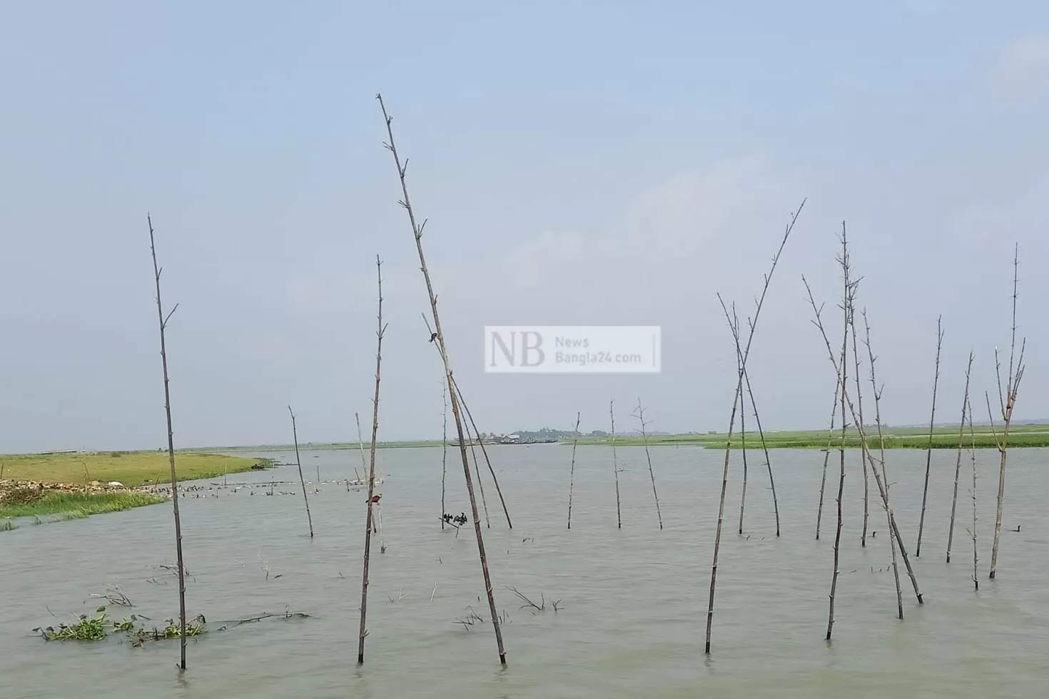 হাওরে-বাড়ছে-পানি-দুশ্চিন্তায়-কৃষক