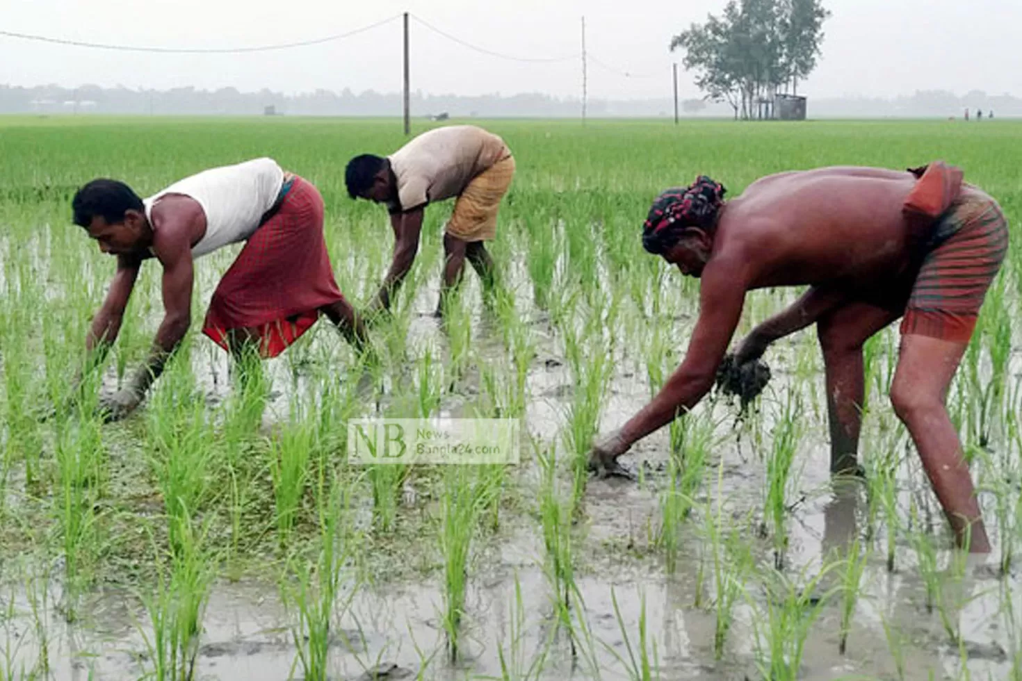 সুবিধাবঞ্চিত আড়াই কোটি মানুষ ব্যাংক হিসাবধারী