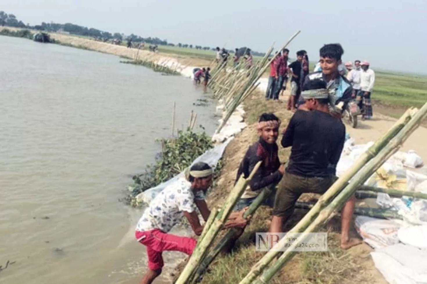 বাঁধ-ভেঙে-ফসলহানি-হাওরে-হাহাকার