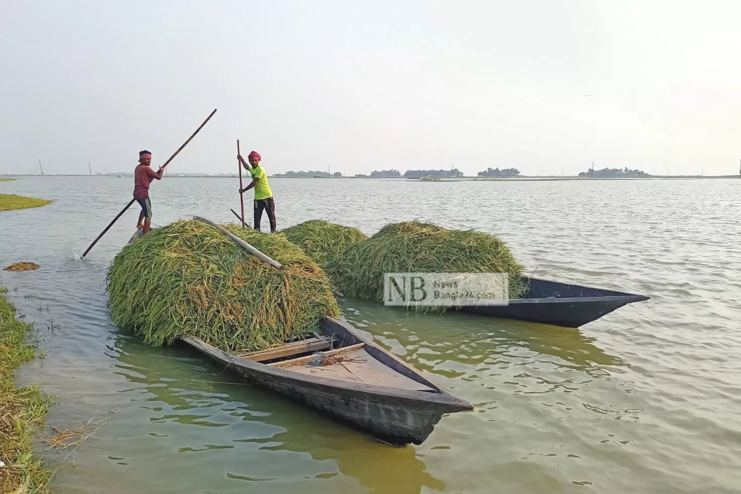 উজানের ঢলে হাওর প্লাবিত