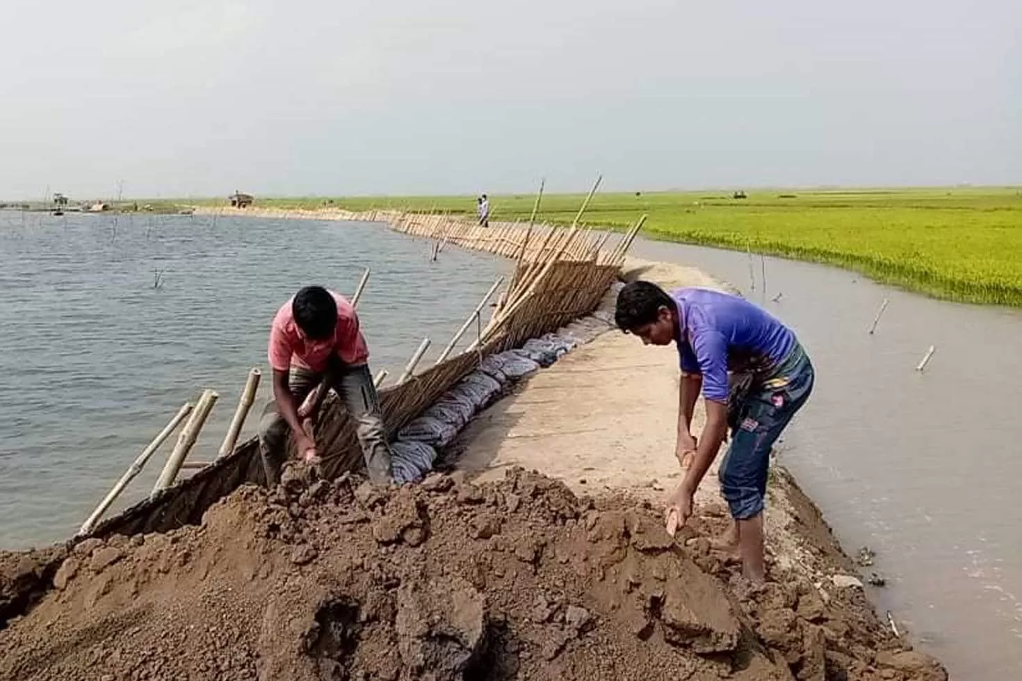 হাওরে-আবারও-পানি-বাড়ার-পূর্বাভাস