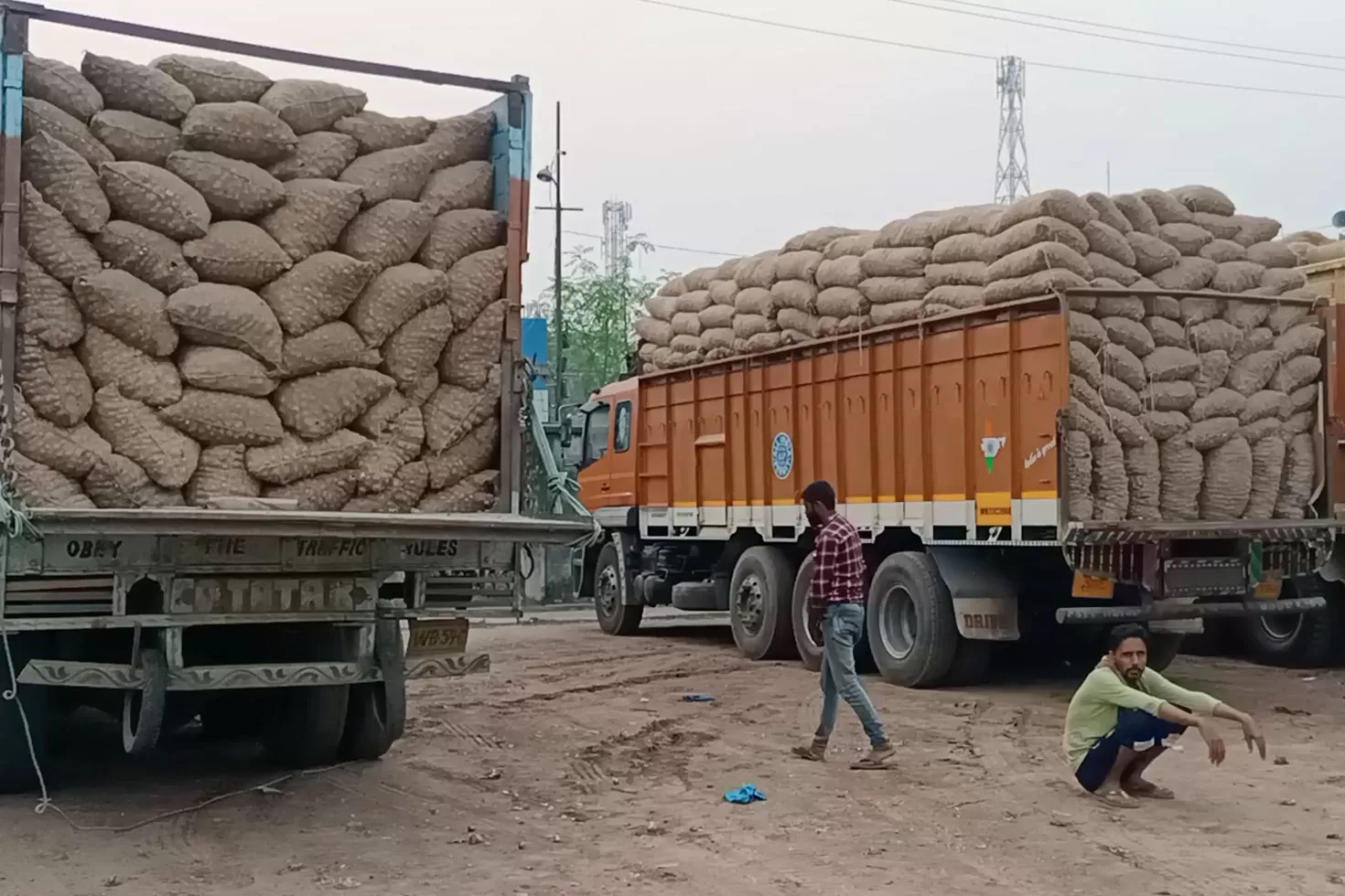 পেঁয়াজের-কেজি-১২-টাকা