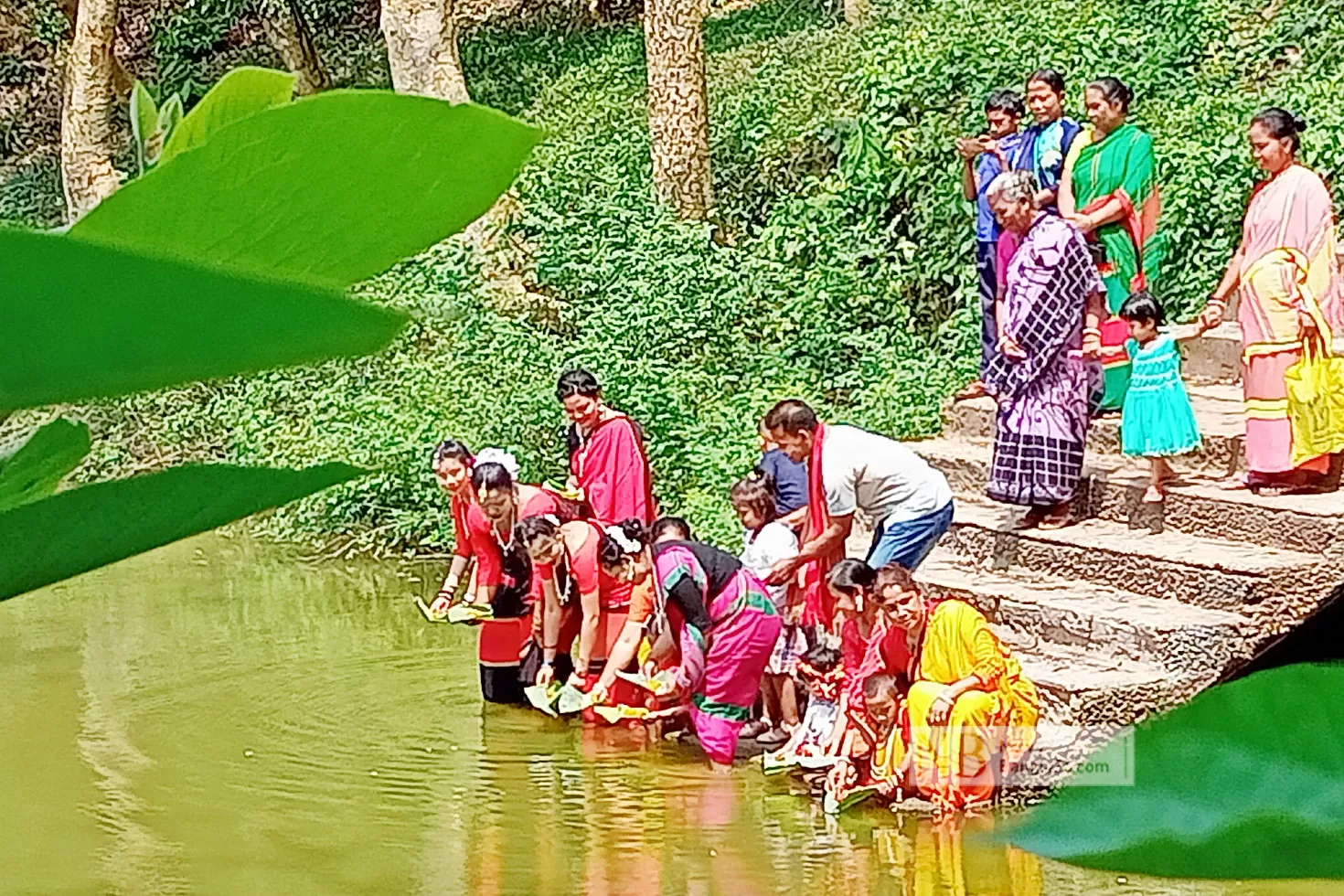 লালমাই-পাহাড়ে-বর্ণিল-বৈসু