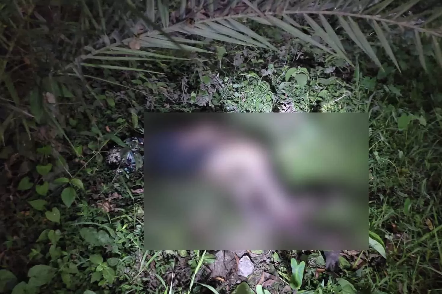 নিখোঁজ ভ্যানচালকের পোড়ানো মরদেহ উদ্ধার