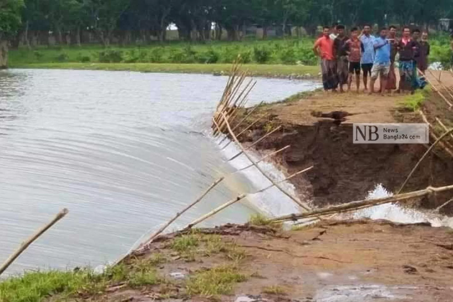 হাওররক্ষা-বাঁধ-রক্ষণাবেক্ষণ-হয়নি-কৃষিমন্ত্রী