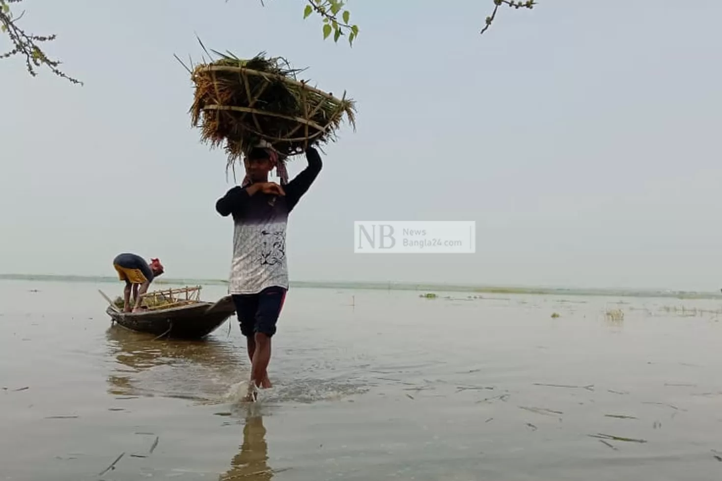 ঢলের-আশঙ্কায়-দ্রুত-হাওরের-ধান-কাটার-অনুরোধ