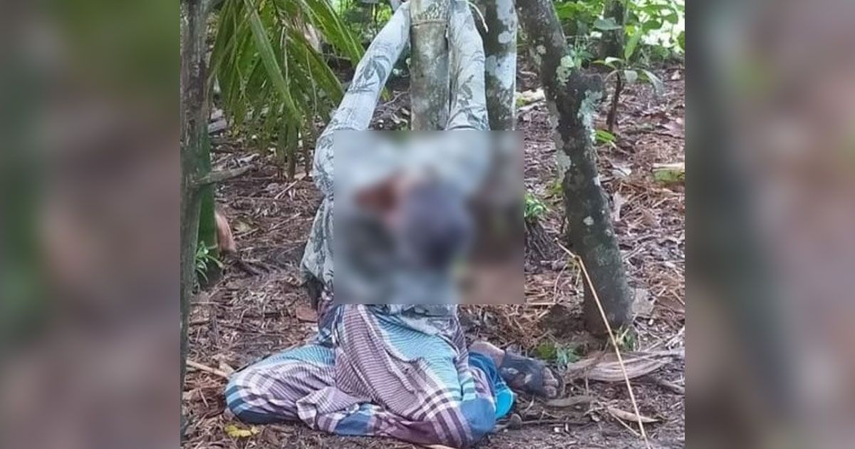 গাছের সঙ্গে হাত-পা বাঁধা মরদেহ, স্ত্রী-সন্তান আটক