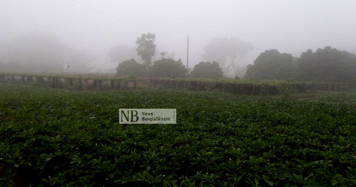 দিনভর-তীব্র-গরম-হঠাৎ-কুয়াশা-