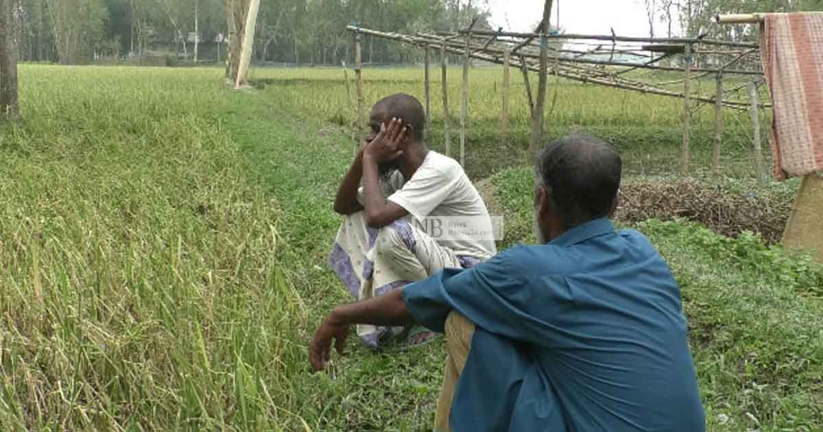 ঈদ নেই ফসল হারানো কৃষক পরিবারে