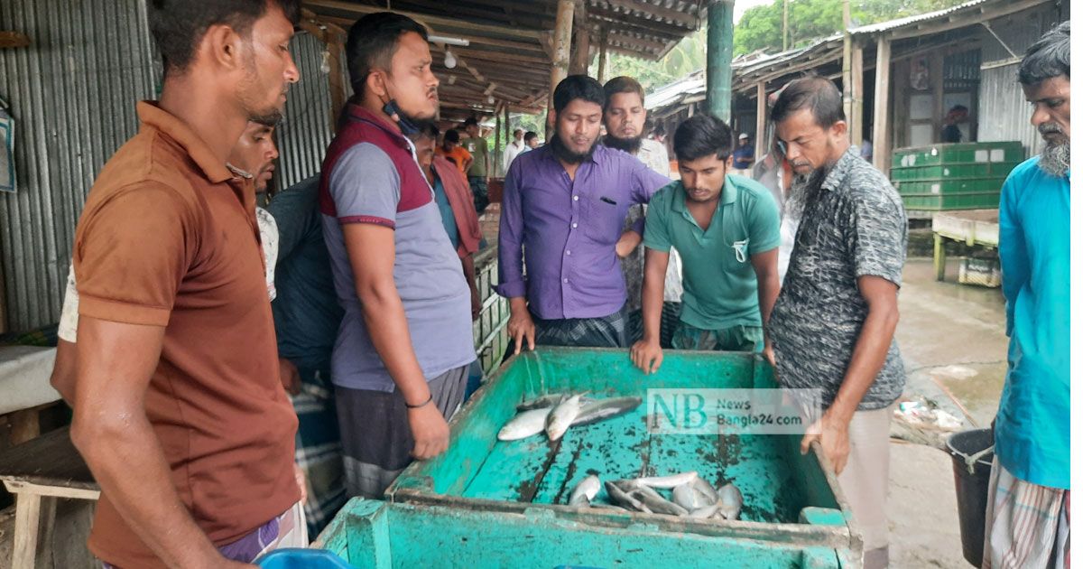 মেঘনা-তেঁতুলিয়ায় মিলছে না কাঙ্ক্ষিত ইলিশ