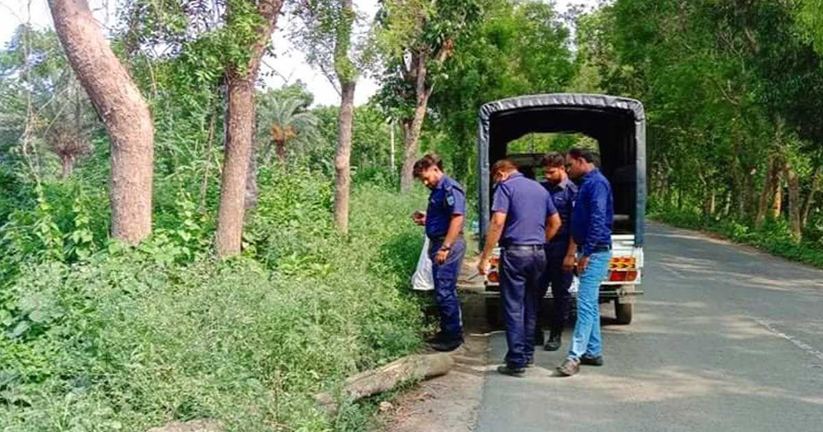 নিমগাছ-কাটছিল-চোর-মাথায়-ডাল-পড়ে-নিহত-বাইকচালক