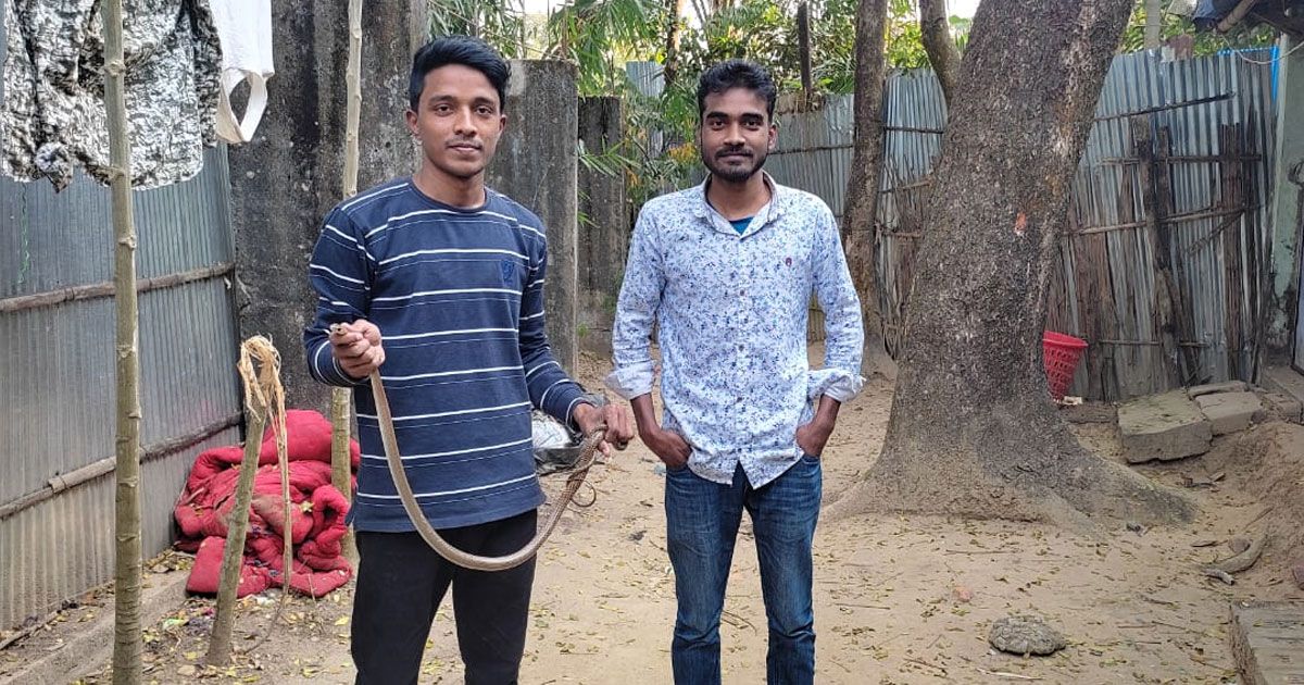 ২ হাজারেরও বেশি সাপ উদ্ধার করেছেন এই তরুণরা