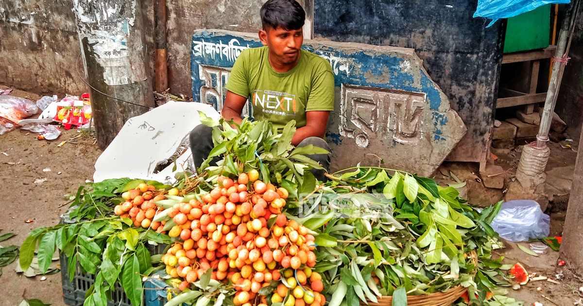 বাজারে দেশি লিচু, দাম কিছুটা বেশি 