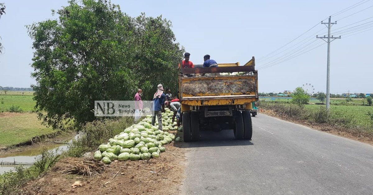 দাম কমেছে তরমুজের, শঙ্কায় চাষিরা 