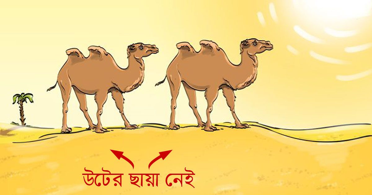 ছবির ভুল বের করো