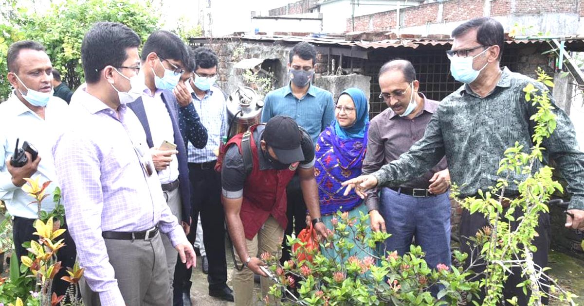 পরিচর্যাহীন-ছাদবাগান-ডেঙ্গু-নিয়ন্ত্রণে-বাধা-তাপস