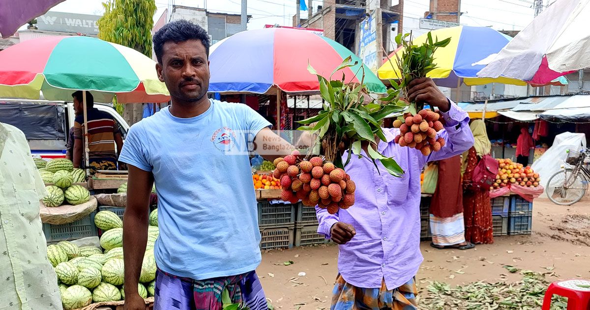 অপরিপক্ক লিচুতে সয়লাব বাজার