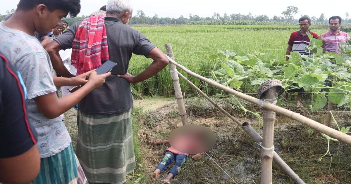 লাউয়ের-ক্ষেতে-শিশুর-মরদেহ 