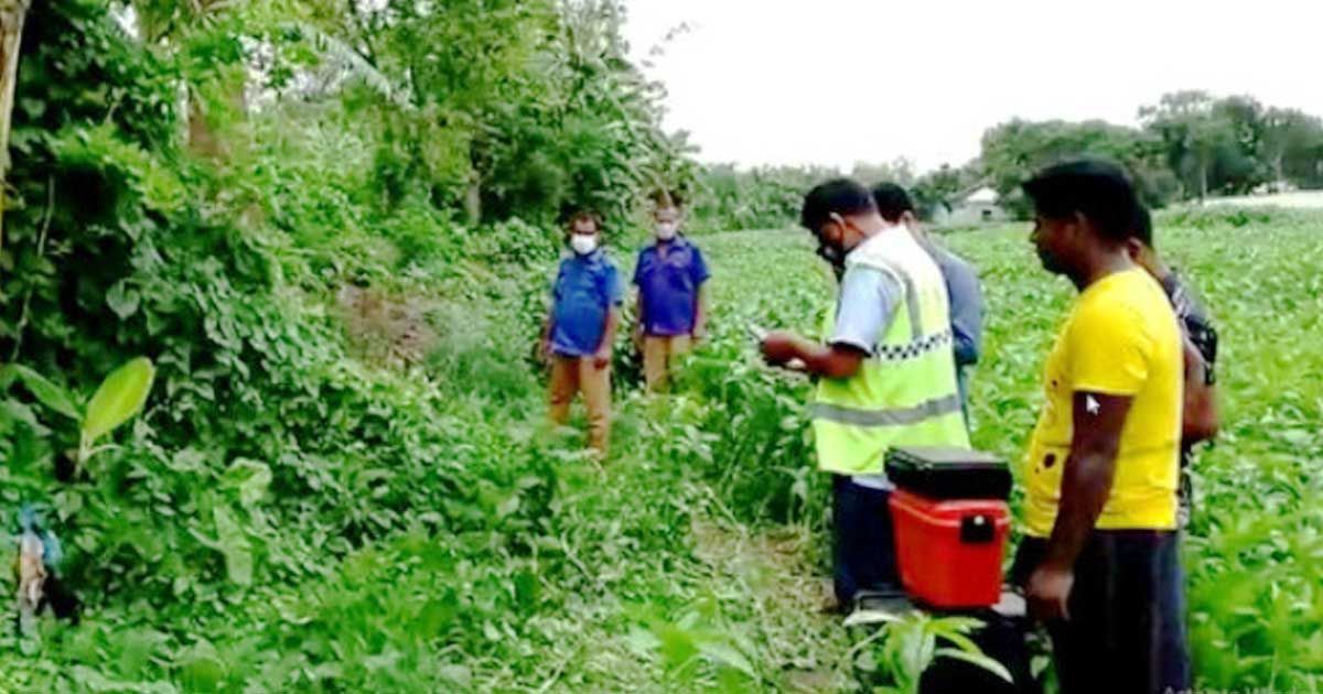 এক-পাটক্ষেতে-দেহ-আরেকটিতে-মাথা