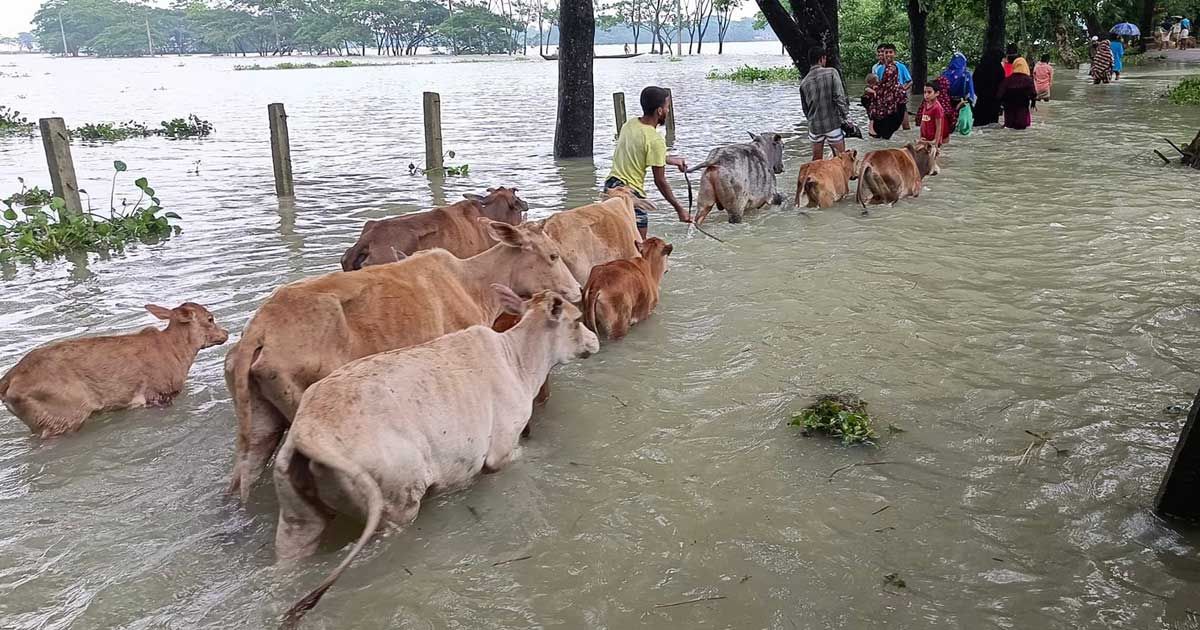 ১৮ বছরের মধ্যে সিলেটে সবচেয়ে বড় বন্যা