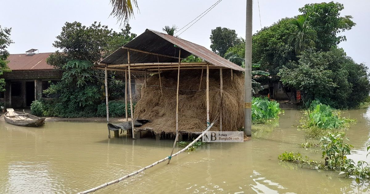 ‘মাঠের পর ঘরেও ধান নষ্ট বানের জলে’