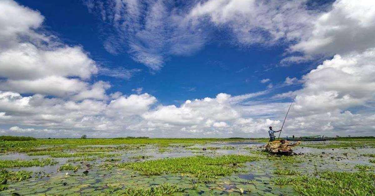 আড়িয়ল বিলে ফের বঙ্গবন্ধু বিমানবন্দর করার আলোচনা