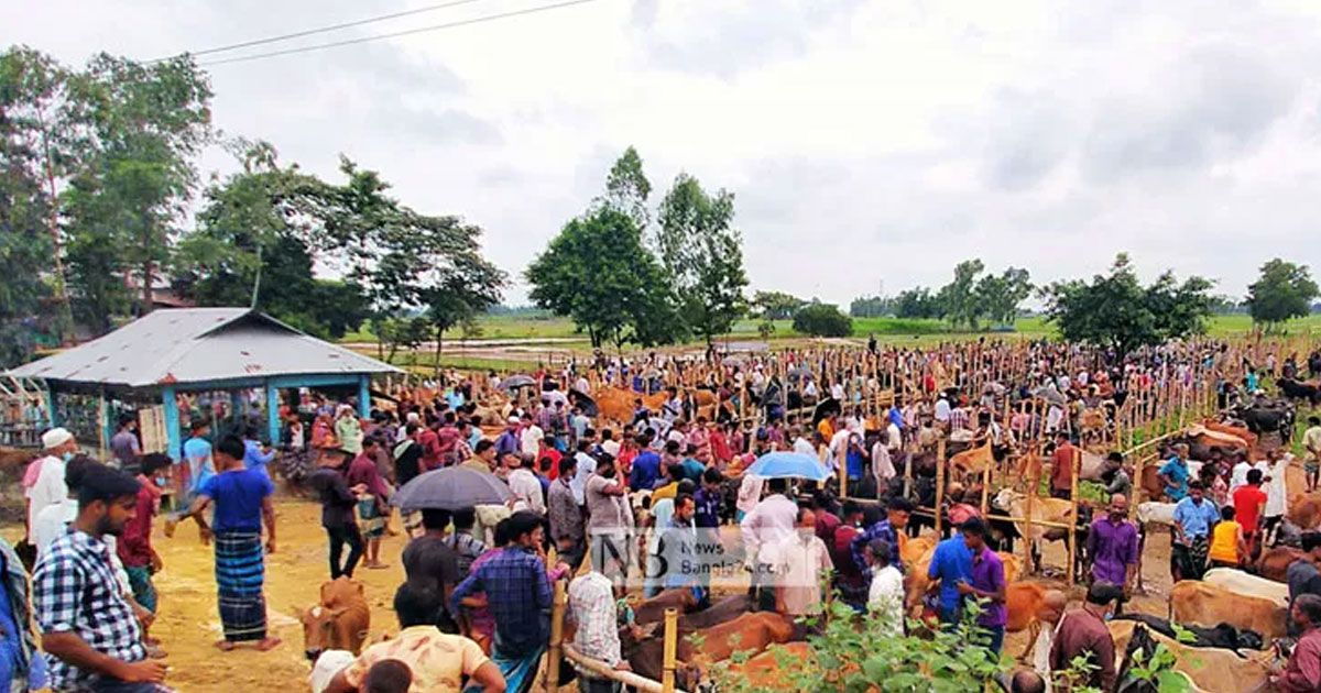 ব্যক্তি উদ্যোগে হাট-বাজার বসলেই জমি অধিগ্রহণ