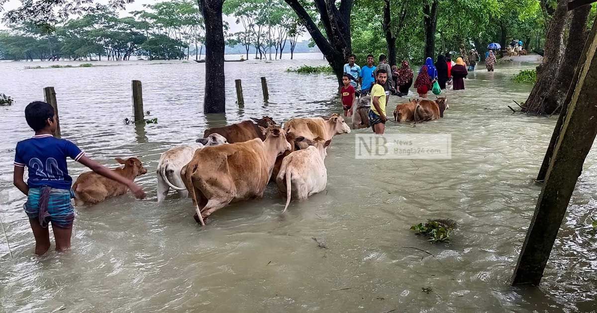 বন্যায় বিদ্যুৎহীন সিলেটে খাওয়ার পানির হাহাকার