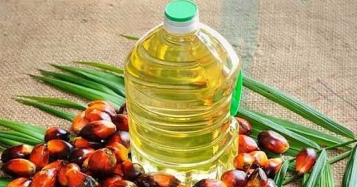 পাম তেল রপ্তানিতে নিষেধাজ্ঞা তুলে নিল ইন্দোনেশিয়া