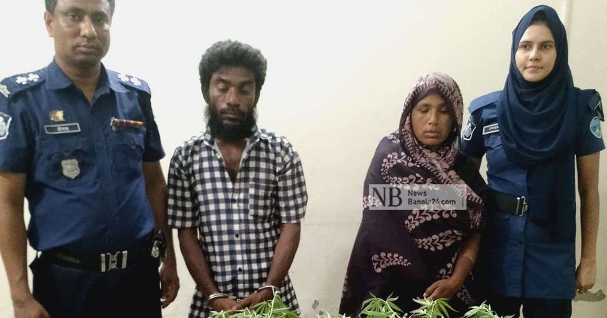 বাড়ির আঙিনায় গাঁজা চাষ, নারীসহ গ্রেপ্তার ২
