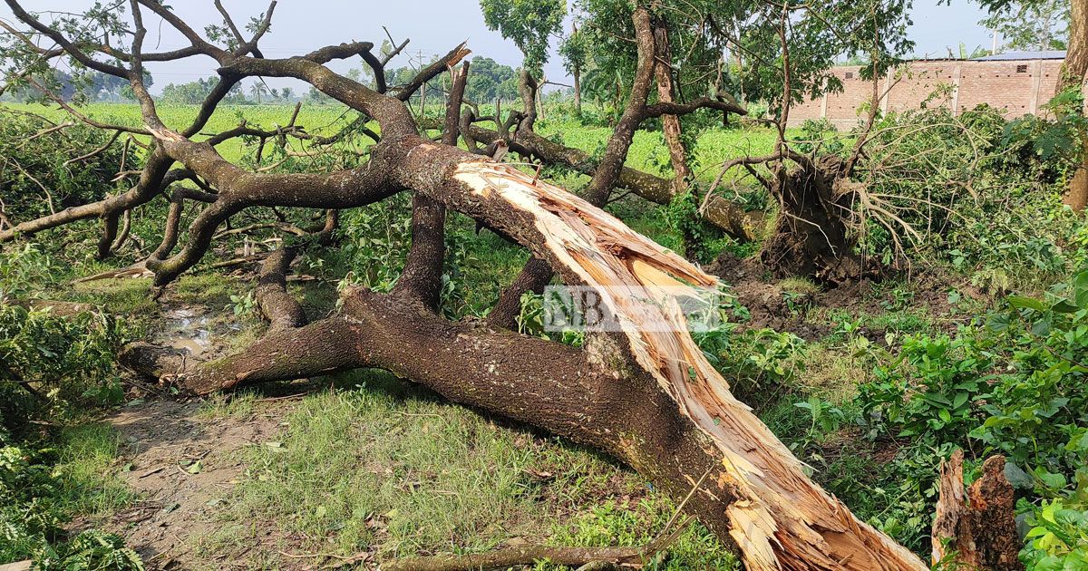 ১০-মিনিটের-ঝড়ে-বিদ্যুৎবিচ্ছিন্ন-৪-ইউনিয়ন
