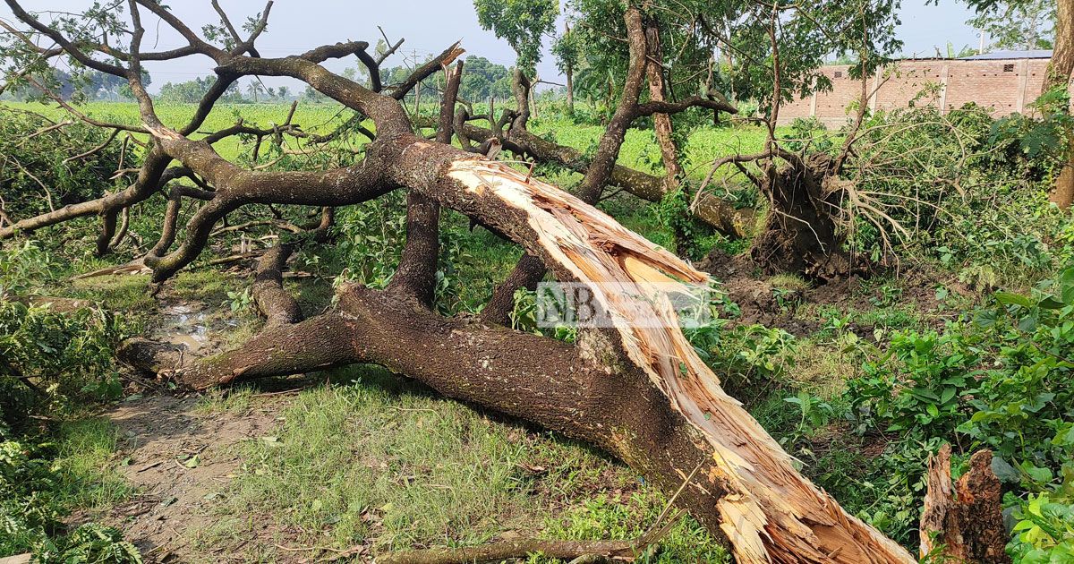 ১০ মিনিটের ঝড়ে বিদ্যুৎবিচ্ছিন্ন ৪ ইউনিয়ন