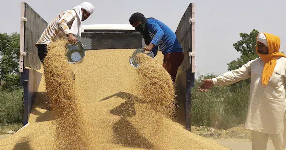 52000-tons-of-wheat-came-from-India