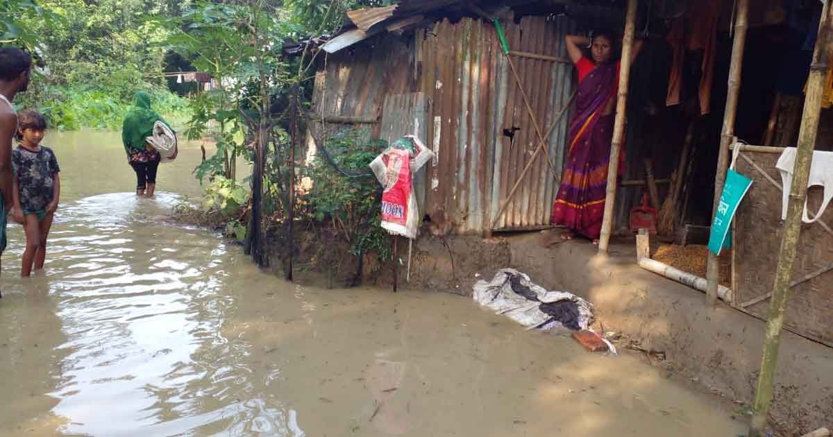 কুশিয়ারায় জলে বন্দি ১৫০ পরিবার 