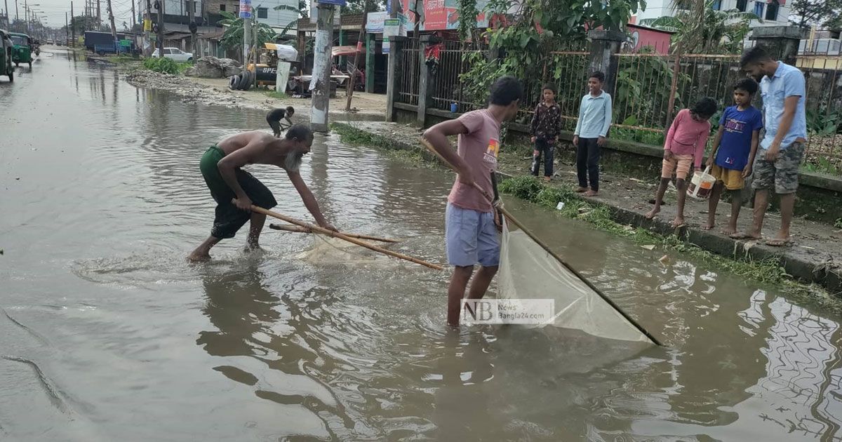 সিলেটে বানের জলে ১৯ হাজার খামারের মাছ